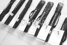 高壓放電棒（12）