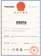 鼎升電力注冊(cè)商標(biāo)DSEPA